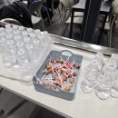 신나는 과학(A) | 대전 아쿠아리움 사이언스나이트캠프 후기