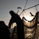 쌍용수산 | 겨울 별미 거제호래기 후기 거제쌍용수산