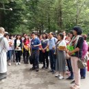 광우스님과 함께하는 기본반 40기 법주사 성지순례 이미지