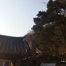 석불암 마애여래좌상 이미지