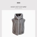 미니썸(minisome)