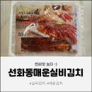 [매운김치 추천] 미우새, 어쩌다사장2 화제의 그 맛! 선화동실비김치 배추김치 & 파김치 솔직 후기