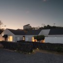 벵디1967 이미지