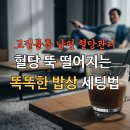 고집불통반찬 이미지