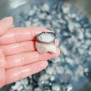 복자농장 이미지