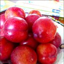 곤이 농장 이미지