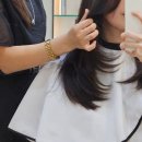 르 시끄(Le Chic)