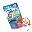 샤인덴탈 이미지