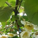 갈마농장 이미지