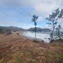 칠포2리 이미지