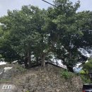 풍정식당 이미지