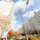 성거공인중개사사무소 이미지