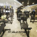 아라피트니스