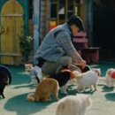 무마취 고양이 미용실 반할고양 이미지