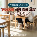 조은동물의료원 이미지