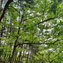 2019-주089 이미지