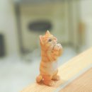 행복한고양이 이미지