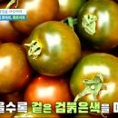 흑토마토 효능이 더 좋을까? 이미지