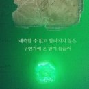 글로벌 K-뮤지컬 마리 퀴리 이미지