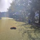 11500-9-79-103 | 파주 클럽2200 파3 후기｜예약 없이 방문하면? 비용·코스·주의사항 총정리