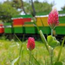 스마트팜의 미래 이미지