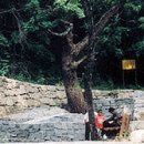 방동관광지 이미지