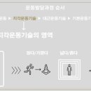 제이지 아카데미 특수체육연구소 이미지