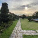 이디살래 이미지