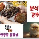 해오름아파트 앞 사거리 이미지