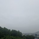 천비시스템