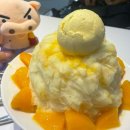 산본천로 224-1 버스정류소 | 대만 3박4일 여행 후기🇹🇼🧋⛰️_시저파크호텔반차오, 중화항공, 신라면세점, 인천공항 제2터미널, 타이베이...