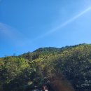 삼산야영장 이미지