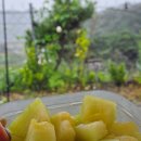 조은빨래방 | 캠린이 3rd 2025년 10월 가을 캠핑 + 새 텐트 구입🏕️