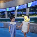 어린이 드론반 (날아라 드론) | 포항 경상북도교육청과학원 │아이과 실내놀이 가볼만한 곳