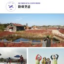 생태랑 놀아볼까 이미지