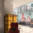 26.05/세운상가,챔프커피,빠우,부르뎅아동복, 화차이, 삼막사계곡, 맥러스터글래스스테인글래스립틴트...