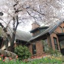 구덕초등학교 이미지