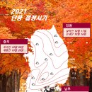 10월 12일, 오대산 권역 걸음 여행 계획입니다. 이미지