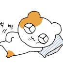 더문스터디카페 이미지