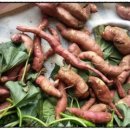 등대울펜션 이미지