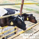 천남리 | 강릉 쌍둥이동물원 아이들과 함께 가기 좋은곳 내돈내산후기