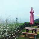 남해 그곳 이미지