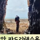 수제돈까스허브뜨레 이미지