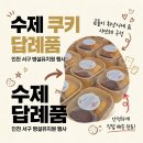 마재초병설유치원 | 인천 청라 루원시티 초등학교 병설유치원 행사 간식 답례품 배송 후기 :)