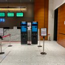 (주)드림에이치엔제이 | 뮤지컬 위키드 내한공연 후기ㅣ부산 드림씨어터 감동 그 자체