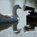 태양에너지 이미지