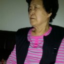 (주)제일드림 이미지