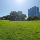 화암면주민차치회 사무실 | [대전마을축제] 대전주민총회대행 대전총회행사 주민총회행사 대전돗자리영화제 대전마을행사 대전주민...