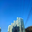 한마음타운 | 구미줄눈 옥계대동한마음타운 재시공 중요한 포인트