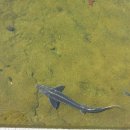 용문산푸른공원 이미지